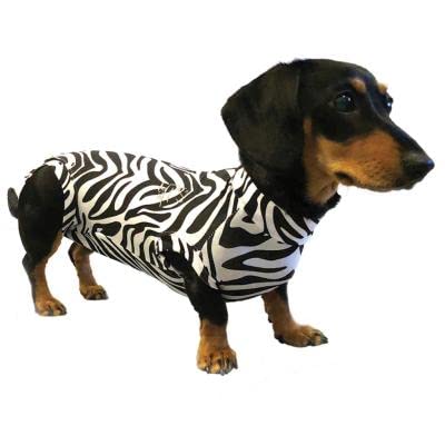 MPS Medical Pet Shirt Dog, Surgery Recovery Suit, Zebra-Print, XXXX-Small
