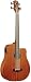 Gold Tone 4 String Bass Guitar, Right (Mbass-25FL)