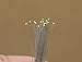 Evemodel T0402W 20pcs Pre-soldered micro litz wired leads Bright White SMD Led 0402 NEW