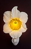 Ibis & Orchid Daffodil Night Light #50170