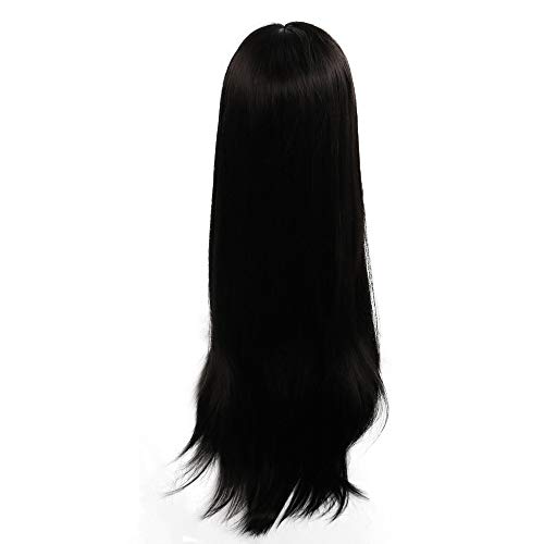 Women Straight Wigs,Black Long Synthetic Hair Straight Wavy Wigs Human Hair Middle Part Half Hand Tied Heat Resistant 22inch (Black, 22inch)