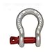 Crosby 1018419 Carbon Steel G-209 Screw Pin Anchor Shackle, Galvanized, 1 Ton Working Load Limit, 3/8