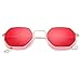 Polygon Sunglasses for Women Polarized Shade Glasses UV400 Classic Stytle Metal