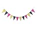 Hot Pink, Gold, and Black Party Decorations, 50 pc Party Supply Set, Paper Pom Pom Flowers, Paper Lanterns, Polka Dot Garland, Glitter Triangle Garland, Balloons, Confetti Decoration Kit (Hot Pink)