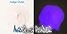 Purple Glow Powder-1oz (30g) Neutral in Daylight/Indigo-Violet Glow in The Dark Pigment Powder for Resin, Slime, Nail Polish, Paints, Coatings, Acrylic Powder