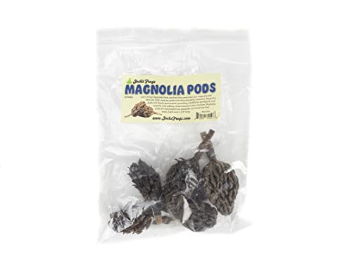 Josh's Frogs Magnolia Pods
