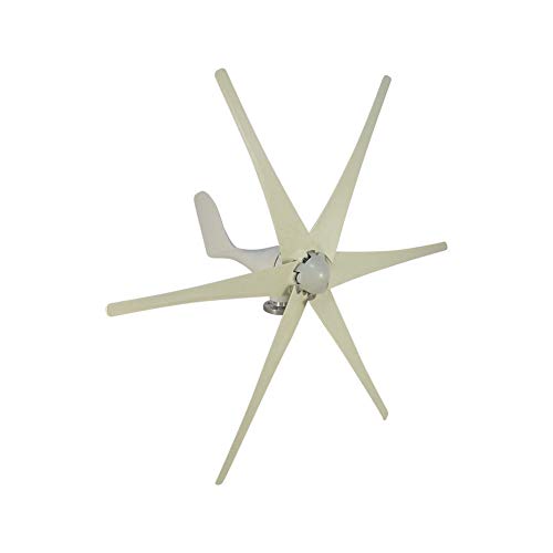 Taishi 800W 24V 6 Blades Residential Horizontal Wind Turbine Generator