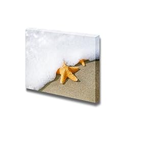 Canvas Prints Wall Art - Close Up of a Starfish Washed Ashore The Sandy Beach | Modern Wall Decor/Home Decoration Stretched Gallery Canvas Wrap Giclee Print. Ready to Hang - 12" x 18"