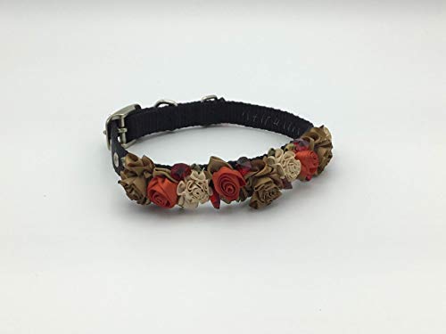 embellished dog collars