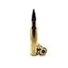 Advanced Tactical 308 Snap Caps 7.62x51 Dummy Rounds (5 Pack)