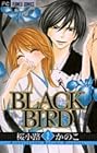 BLACK BIRD 第2巻