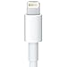 Naztech 12208 4-Foot Apple Certified MFI 8-Pin Lightning to USB Data Cable for iPhone 5/5S, 6/6 Plus and iPad Air/Air 2, iPad Mini/2/3 - White