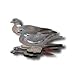 Wood Pigeon Decoy -  6-Pack Foldable Wood Pigeon for Hunting -  Land and Water Use -  Waterproof, Shot-Proof -  Realistic UV Certified Decoy Paints -  Includes Anchors, Anchor String and Fudslinger