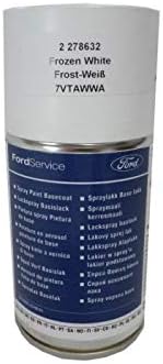 ford transit frozen white paint