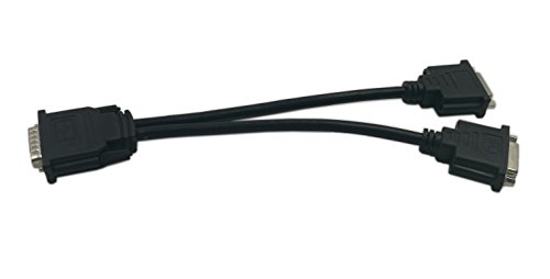 CGTime DMS-59 to DVI Splitter Cable Connector For Dual Monitor Setups or as a DVI Adapter Y Cord Dongle-10inch