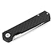 Firebird GANZO FH11 Folding Knife with Liner Lock (Carbon Fiber[FH11-CF])