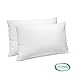 BioPEDIC 2-Pack Bed Pillows with Built-In Ultra-Fresh Anti-Odor Technology, Jumbo, White