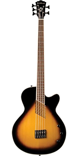 2 Washburn+Acoustic+Electric+AB45VSK+Acoustic+Electric