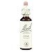 Bach Original Flower Remedies, Vine - Motivate Not Dominate - Natural Homeopathic Flower Essence for Emotional Balance - Vegan, Gluten Free, Sugar Free - 20mL Dropper