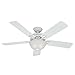 Hunter Fan Company, 53122, 52 inch Beachcomber White Indoor / Outdoor Ceiling Fan with LED Light Kit and Pull Chain