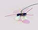 ZIOUJJYK Neko Flies Kiticatterfly Interchangeable Cat Toy