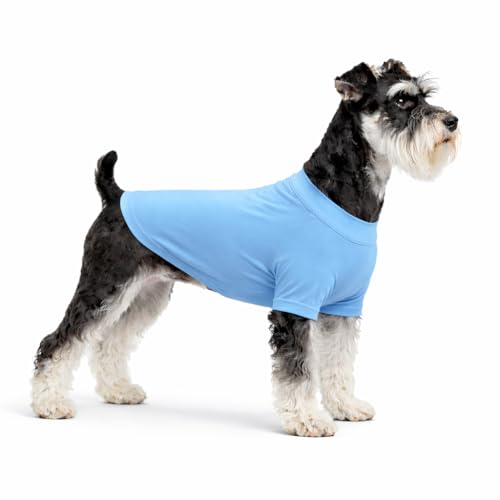 LoveLongLong Spring Summer Cooling Dog T-Shirt with UV Protection and Moisture-Wicking Fabric Blank Color Sea blue M