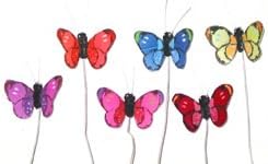 Butterfly Small in Bright Colors 1/2 Inch (24 Butterflies) BF0104 X 24