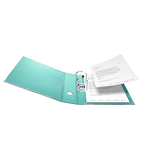 Falken Chromocolor Premium Quality Plastic Inner and Outer File Folders 8 cm Wide DIN A4 2 Assorted Colours Each with 2 Mint Leaves / Light Blue / Lime Green / Pink / Pack of 10
