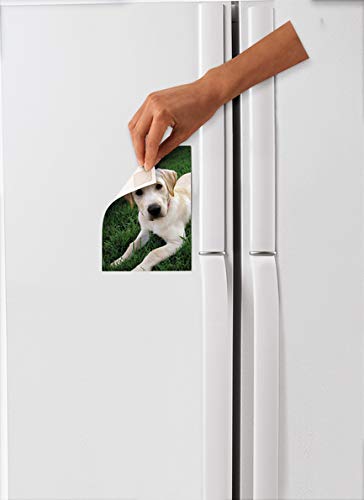 2 Removable+Mounting+Squares+16+Squares+108