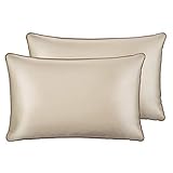 Sable Silk Pillowcase, 2 Pack Natural Mulberry Silk Pillowcases for Hair and Skin, Soft Breathable Smooth 19 Momme One-Sided Silk Pillow Cover, Gold, Queen Size, 30×20 inch