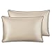 Sable Silk Pillowcase, 2 Pack Natural Mulberry Silk Pillowcases for Hair and Skin, Soft Breathable Smooth 19 Momme One-Sided Silk Pillow Cover, Gold, Queen Size