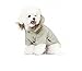 PetBoBo Cat Dog Doggie Down Jacket Hoodie Coat Pet Clothes Warm Clothing for Small Dogs Winter Beige S