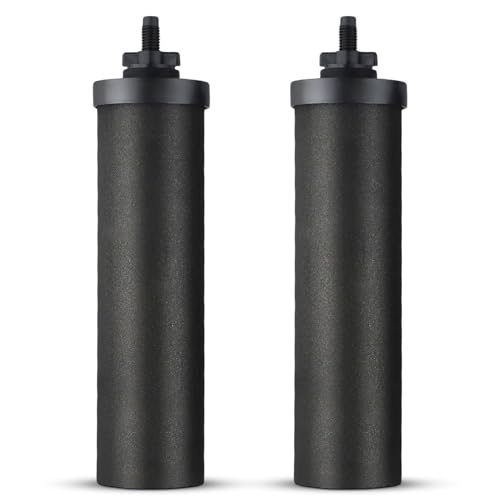 Filtre à eau de rechange, 2 filtre à eau à charbon actif pour filtration par gravité, charbon actif eau purificateur d'éléments de purification pour extérieur filtre eau maison