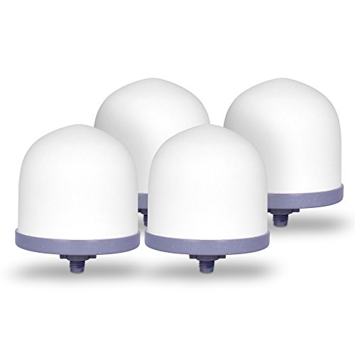 Replacement Ceramic Dome Water Filter 0.2 to 0.5 micron for Zen Water System (Set of 4)