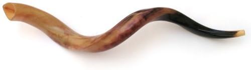 Shofarot Israel Kosher Yemenite Kudo kudu Shofar Extra Large Size 40"- 42" Full Polish
