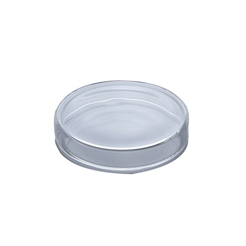 Time Concept Decorative Laboratory Glass Petri Dish - Size 3 - Accesory Storage, Home Decoration