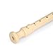 Eastar ERS-21GN ABS German Descant Soprano Recorder C Key With Fingering Chart Cleaning Rod and Bag,Natural