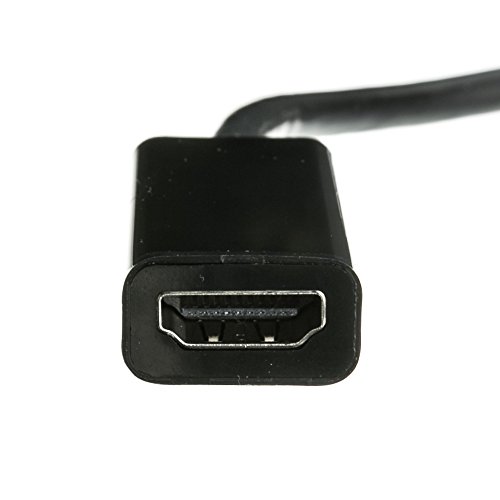 ACL DisplayPort Male to HDMI Female Active Adapter support for 4K Video Audio Enabled, 10 Pack