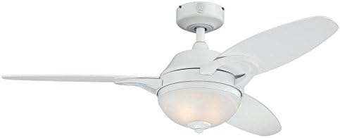 Westinghouse 7869100 Arcadia Two Light 46 Inch Reversible Three