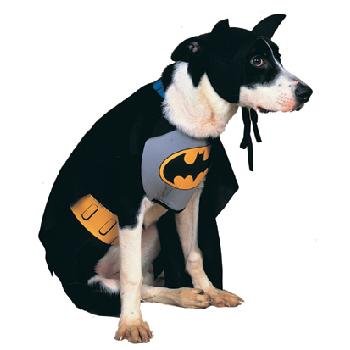 Batman Pet Costume