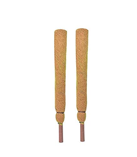 COIR GARDEN Coco Pole 2 ft/60 cm 2 Pieces -Moss and Coir Stick for Money Plant Support, Indoor Plants, House Plants and Plant Creepers