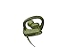 Powerbeats3 Wireless Earphones - Apple W1 Headphone Chip, Class 1 Bluetooth, 12 Hours of Listening Time, Sweat Resistant Earbuds - Turf Green