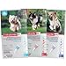 K9 Advantix II 4 Pk Teal Dog 11-20 Lbs