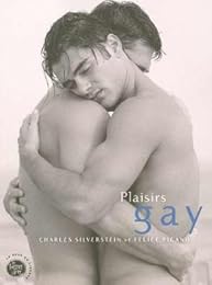 Plaisirs gay
