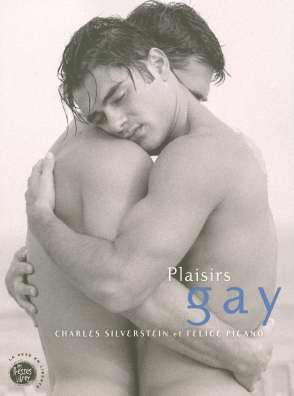 Plaisirs gay