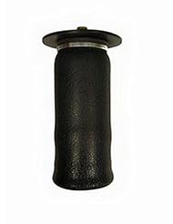 Automotive Parts and Accessories: AIR LIFT 50203 Replacement Sleeve - Air Lift