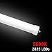 8ft LED Bulbs for T12 LED Fluorescent Fixtures,F96T12 LED Tube Replacement,120V and 277V Input, 5500K Daylight White,40Watt 4800LM Super Bright (4PCS 5500K Daylight White)