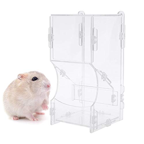 Professional Automatic Bird Hamster Feeder Small Animal Dish Food Feeding Dispenser, Frozen Feeder Mice – Pig Water, Hanging Pig Feeder, Animal Water, Ferret Dish, Small Animal Bowls