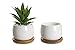 Opps White Ceramic Cute Succulent Cactus Plant Pot with Bamboo Tray – Pack of 3