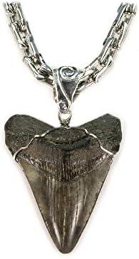 KennedyCoJewelry Large Quality Megalodon Fossil Shark Tooth Pendant Necklace Stainless Steel for Men